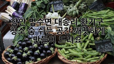 함안 법수면 대송리 환기구 청소: 숨 쉬는 공간, 깨끗하게 만들어 드려요!