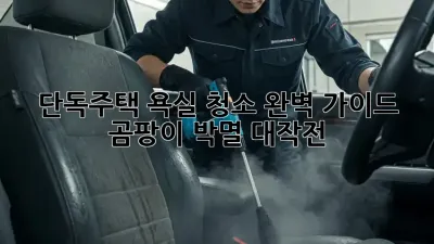 단독주택 욕실 청소 완벽 가이드: 곰팡이 박멸 대작전!